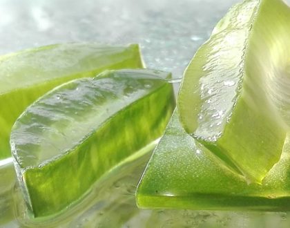 Využití aloe vera - příznivé účinky na vlasy i pleť