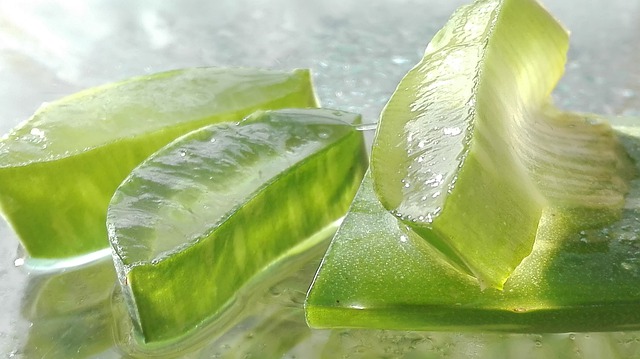 Využití aloe vera - příznivé účinky na vlasy i pleť