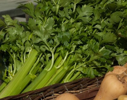 Celer - proč ho zařadit do vašeho jídelníčku