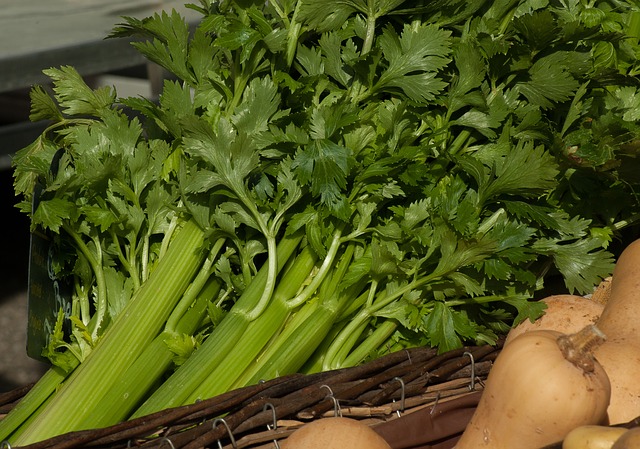 Celer - proč ho zařadit do vašeho jídelníčku