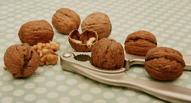 Jak zpracovat vlašské ořechy